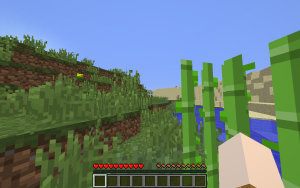 Minecraft New World Screen When Loaded